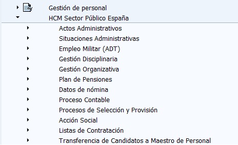 SAP HCM Sector Público España (addon) - Consultoria-SAP.com