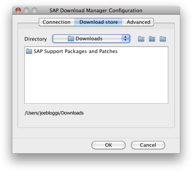 sap download manager download sap notes