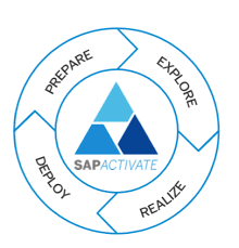 Gestión de proyectos desde Solution Manager 7 - SAP Active.png