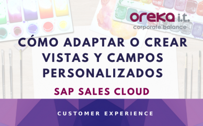 SAP Sales Cloud: cómo adaptar o crear vistas y campos personalizados
