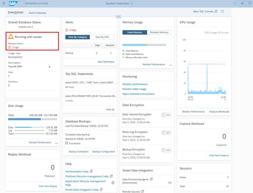 SAP HANA COCKPIT 2 - monitorizacion de rendimiento