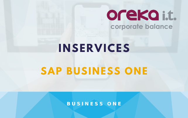 inServices – Registro de intervenciones para SAP Business One