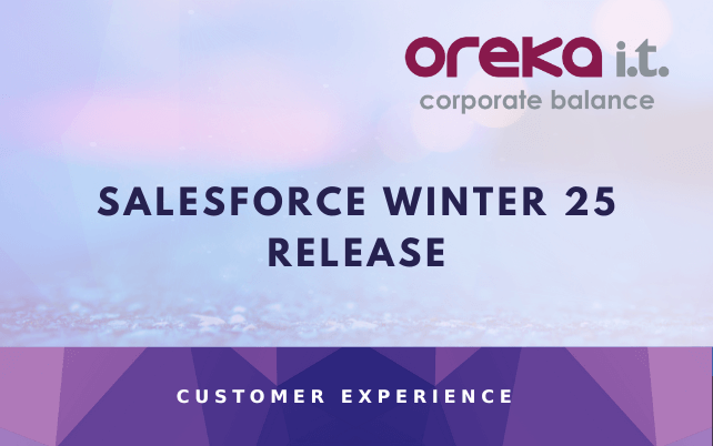 SALESFORCE WINTER 25 RELEASE