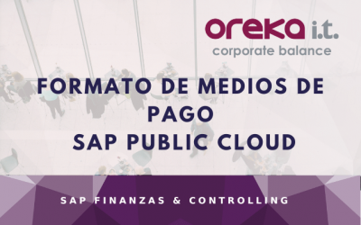 Generación de archivos de pagos salientes con SAP Public Cloud