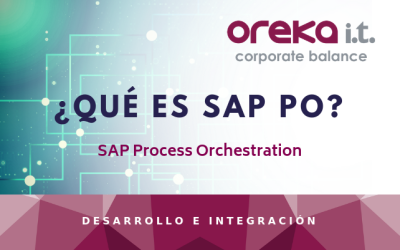 ¿Qué es SAP PO?
