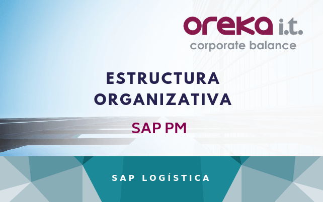 Estructura-organizativa-de-SAP-PM-1 cloud-public