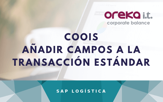 Añadir-campos-a-la-transacción-estándar cloud-public