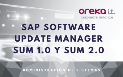 SAP Software Update Manager SUM 1.0 y SUM 2.0