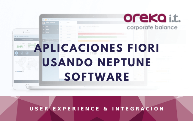 Aplicaciones-FIORI-usando-Neptune-Software-2 cloud-public