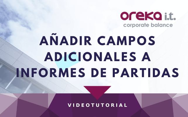 añadir-campos-adicionales-a-informes-de-partidas-en-SAP cloud-public