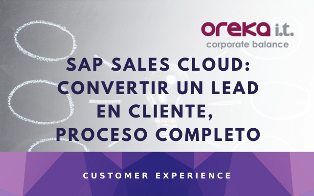 SAP-SALES-CLOUD-–-CONVERTIR-UN-LEAD-EN-CLIENTE-PROCESO-COMPLETO-1 cloud-public