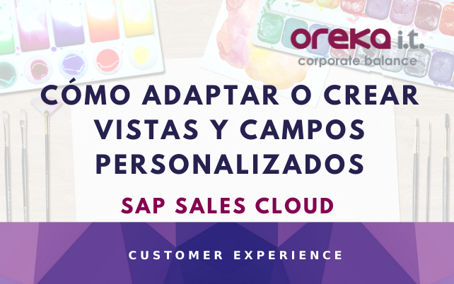 SAP-sales-cloud-crear-y-adaptar-vistas-y-campos-personalizados cloud-public