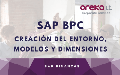 Creación del Entorno, Modelos y Dimensiones en SAP BPC