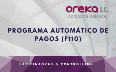Programa automático de pagosF110