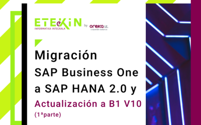 Migración SAP Business One a SAP HANA 2.0y actualización a B1 v10 (I)