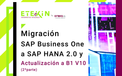 Migración SAP Business One a SAP HANA 2.0y actualización a B1 v10 (II)