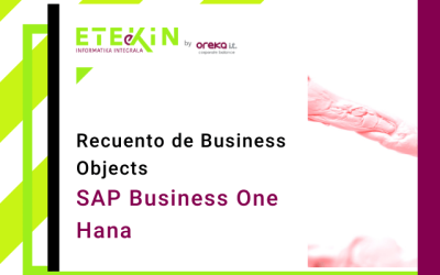 Recuento de Business Objects en Business One Hana