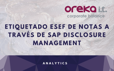 Etiquetado ESEF de notas a través de SAP Disclosure Management