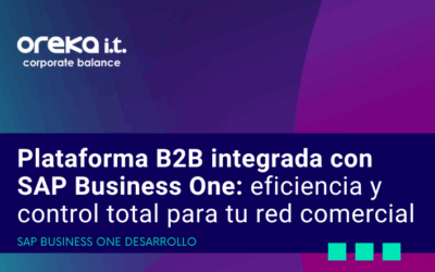 Plataforma B2B integrada con SAP Business One: eficiencia y control total para tu red comercial