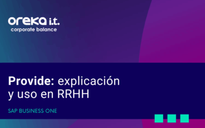 Provide Fields:explicación y uso en RRHH