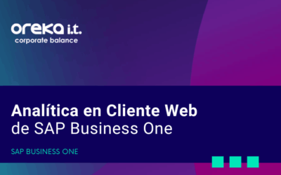 Analítica en Cliente Webde SAP Business One