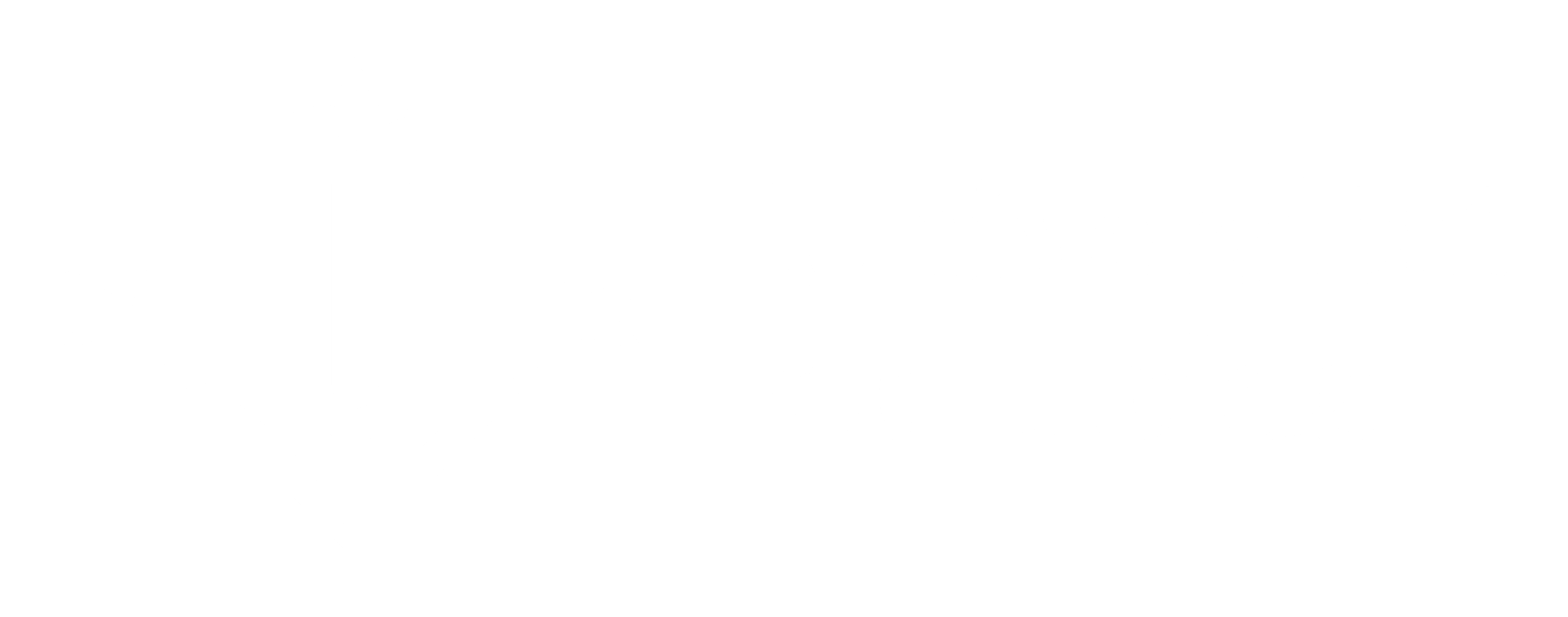 logo-udl-txuri