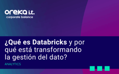 ¿Qué es Databricksy por qué está transformando la gestión del dato?